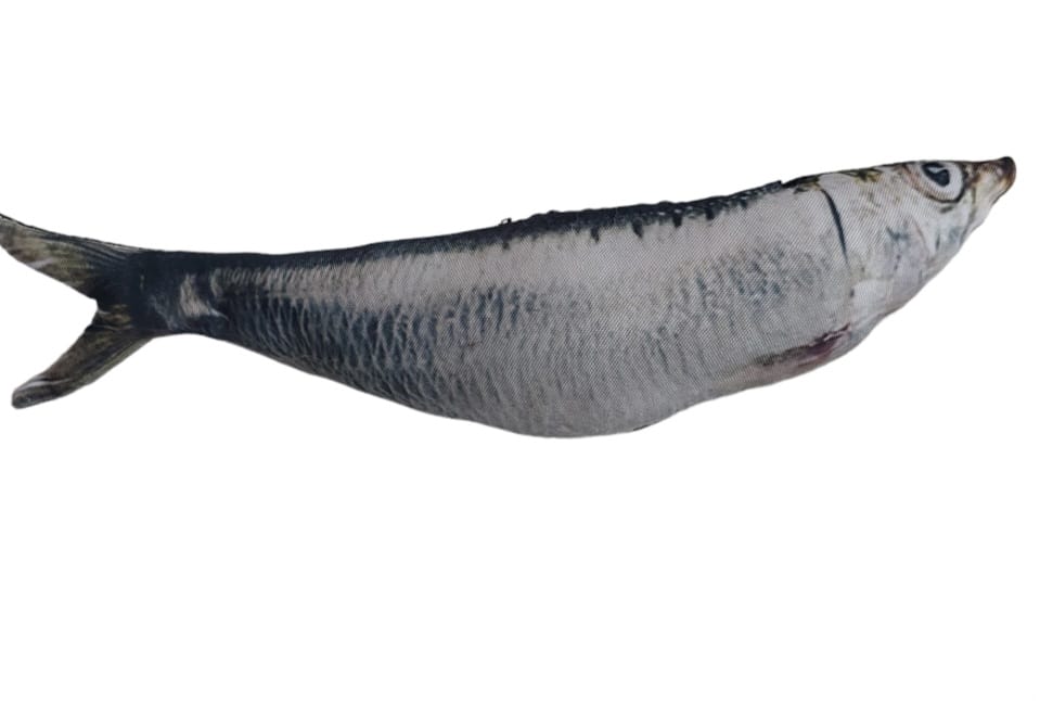 01  Sardinha recheada  com Catnip